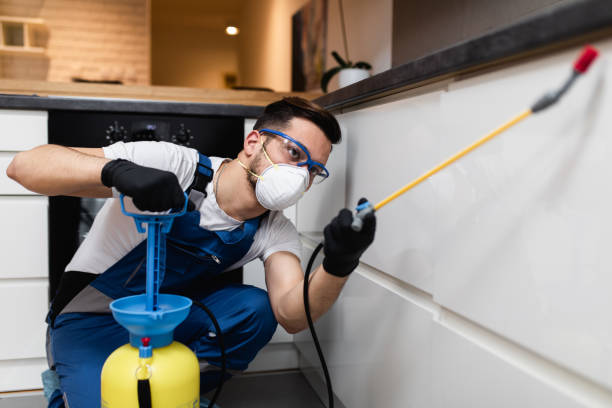 Best Pest Inspection Near Me  in North Laurel, MD