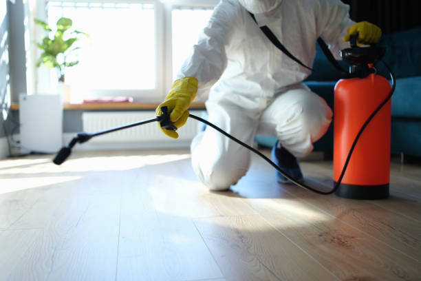 Professional Pest Control in North Laurel, MD