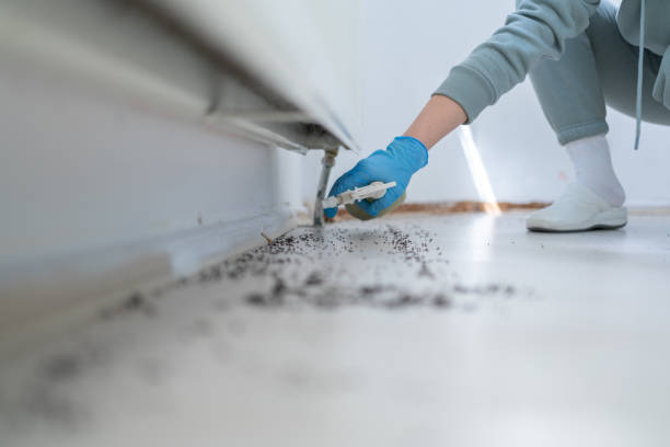 Best Cockroach Control Services  in North Laurel, MD